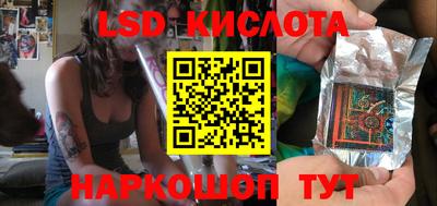 крисы Кунгур