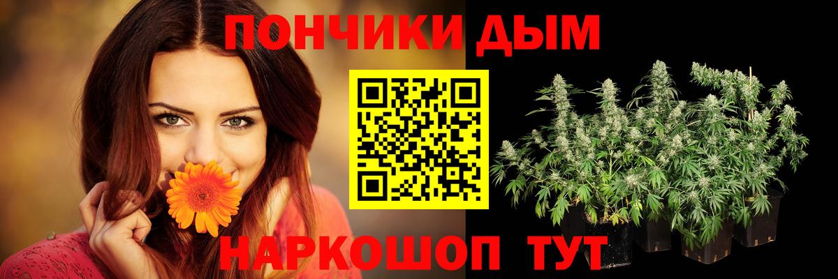 Бошки Шишки план  Канабис Bruce Banner  Кимовск  Вход с VPN  Конопля семена 